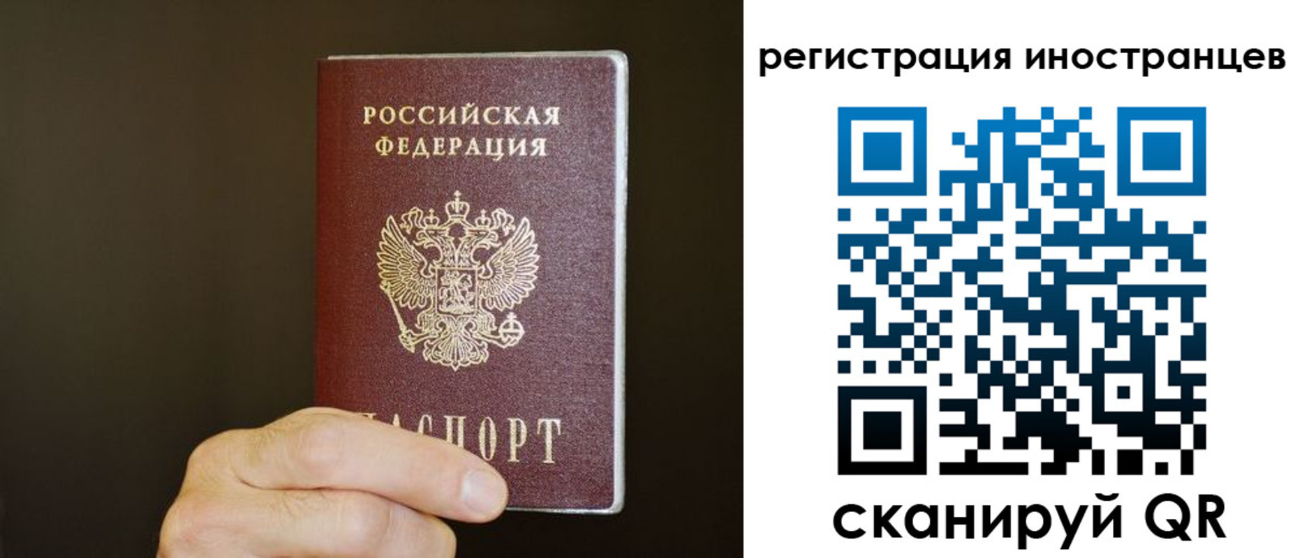 прописка в Пионерском